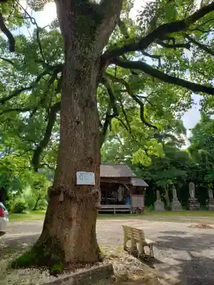 福母八幡宮(佐賀県)