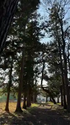 神山稲荷神社(北海道)