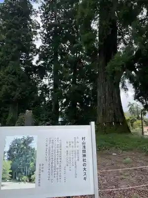 村山浅間神社(静岡県)