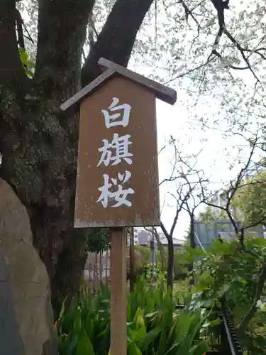 白山神社のその他建物