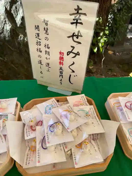 小野照崎神社の御朱印