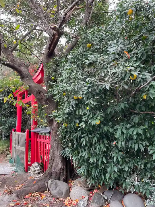 玉姫稲荷神社(東京都)