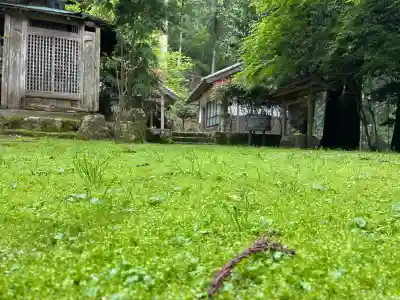 戒長寺の{uncategorized: "未分類", other: "その他", undefined: "問題あり", building: "その他建物", grave: "お墓", sacred_gate: "鳥居", guardian: "狛犬", statue: "像", buddha: "仏像", history: "歴史", nature: "自然", garden: "庭園", animal: "動物", pagoda: "塔", temizu: "手水舎", mountain_gate: "山門・神門", sanctuary: "本殿・本堂", subordinate: "末社・摂社", art: "芸術", scenery: "景色", jizo: "地蔵", ema: "絵馬", goshuin: "御朱印", omikuji: "おみくじ", items: "授与品その他", amulet: "お守り", goshuincho: "御朱印帳", eats: "食事", festival: "お祭り", votive_dance: "神楽", shichigosan: "七五三参", wedding: "結婚式", experience: "体験その他", initially: "初詣", around: "周辺", anti_infection: "感染症対策"}