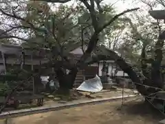 正圓寺の建物その他