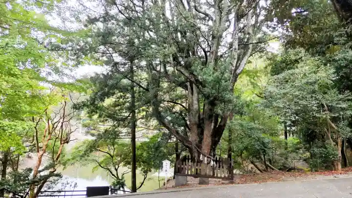 安房神社(千葉県)