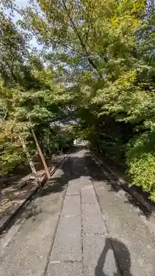 真宗院(京都府)