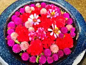 真言宗 善通寺派 薬王寺(香川県)(2022年08月21日(日) 20時26分21秒投稿)