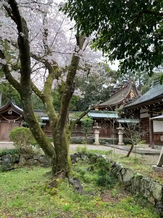 伊太祁曽神社(和歌山県)