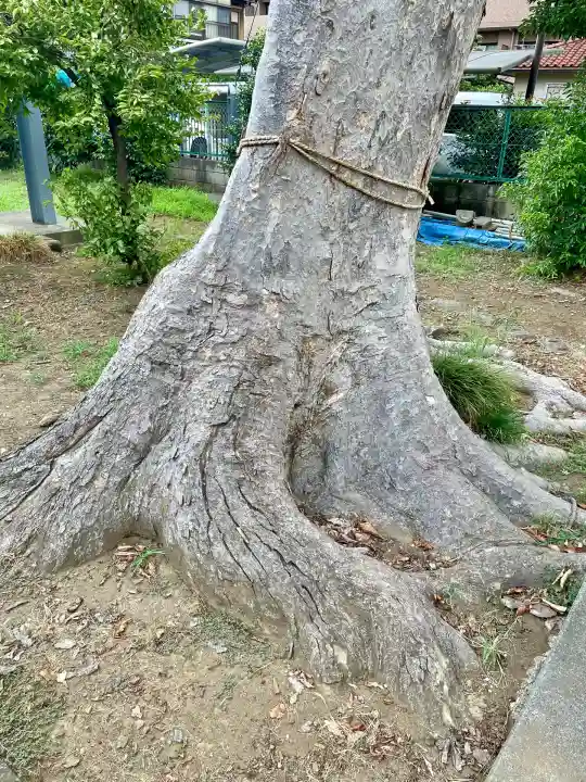 菅原神社(埼玉県)