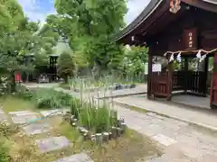 生國魂神社(大阪府)