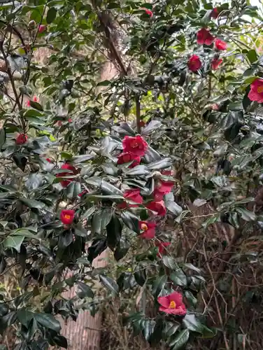 日枝神社(福島県)