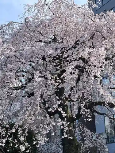 日蓮宗　浄運寺(東京都)