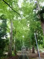 清池八幡神社(山形県)