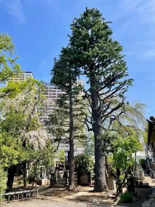本行寺(東京都)