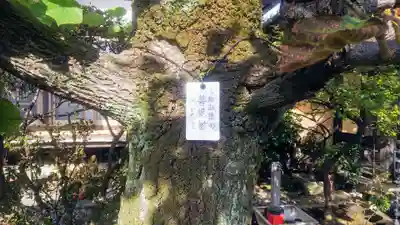 三光院のその他建物