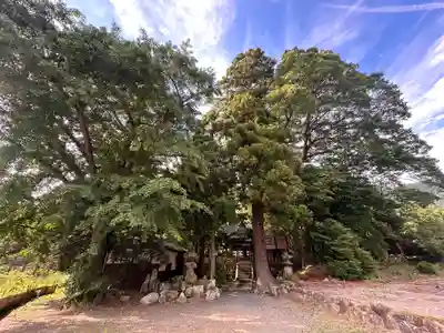 貴船神社(福井県)
