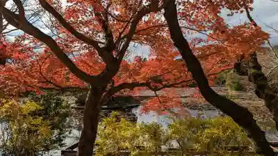 龍安寺(京都府)