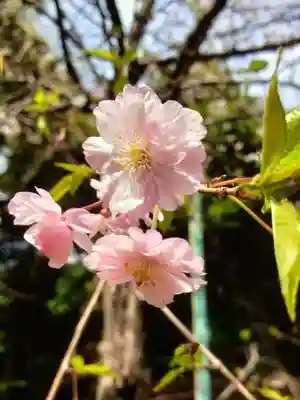 赤坂氷川神社(東京都)