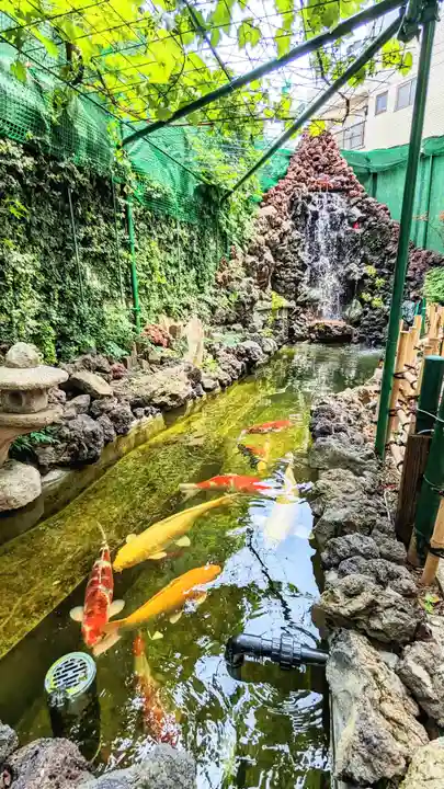 吉原弁財天本宮(吉原神社奥宮)の動物