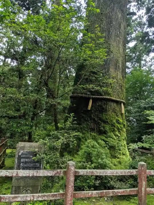箱根神社(神奈川県)