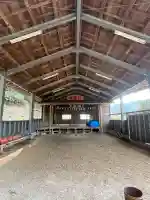 迦具神社の{uncategorized: "未分類", other: "その他", undefined: "問題あり", building: "その他建物", grave: "お墓", sacred_gate: "鳥居", guardian: "狛犬", statue: "像", buddha: "仏像", history: "歴史", nature: "自然", garden: "庭園", animal: "動物", pagoda: "塔", temizu: "手水舎", mountain_gate: "山門・神門", sanctuary: "本殿・本堂", subordinate: "末社・摂社", art: "芸術", scenery: "景色", jizo: "地蔵", ema: "絵馬", goshuin: "御朱印", omikuji: "おみくじ", items: "授与品その他", amulet: "お守り", goshuincho: "御朱印帳", eats: "食事", festival: "お祭り", votive_dance: "神楽", shichigosan: "七五三参", wedding: "結婚式", experience: "体験その他", initially: "初詣", around: "周辺", anti_infection: "感染症対策"}