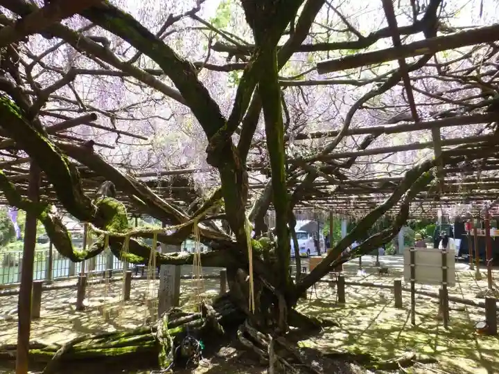 定禅寺(福岡県)