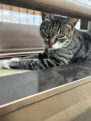 唐澤山神社(栃木県)