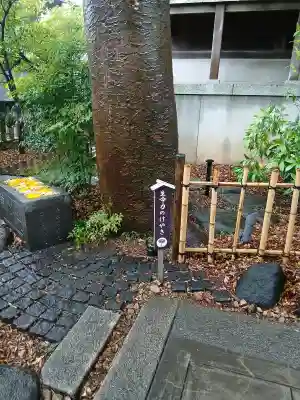 行田八幡神社の{uncategorized: "未分類", other: "その他", undefined: "問題あり", building: "その他建物", grave: "お墓", sacred_gate: "鳥居", guardian: "狛犬", statue: "像", buddha: "仏像", history: "歴史", nature: "自然", garden: "庭園", animal: "動物", pagoda: "塔", temizu: "手水舎", mountain_gate: "山門・神門", sanctuary: "本殿・本堂", subordinate: "末社・摂社", art: "芸術", scenery: "景色", jizo: "地蔵", ema: "絵馬", goshuin: "御朱印", omikuji: "おみくじ", items: "授与品その他", amulet: "お守り", goshuincho: "御朱印帳", eats: "食事", festival: "お祭り", votive_dance: "神楽", shichigosan: "七五三参", wedding: "結婚式", experience: "体験その他", initially: "初詣", around: "周辺", anti_infection: "感染症対策"}