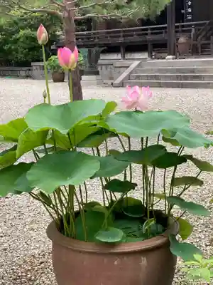 建長寺(神奈川県)