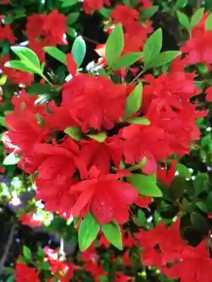小野照崎神社(東京都)