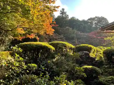 詩仙堂(丈山寺)(京都府)