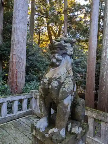 彌彦神社の狛犬