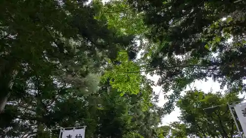 豊受稲荷神社（湯倉神社）の自然