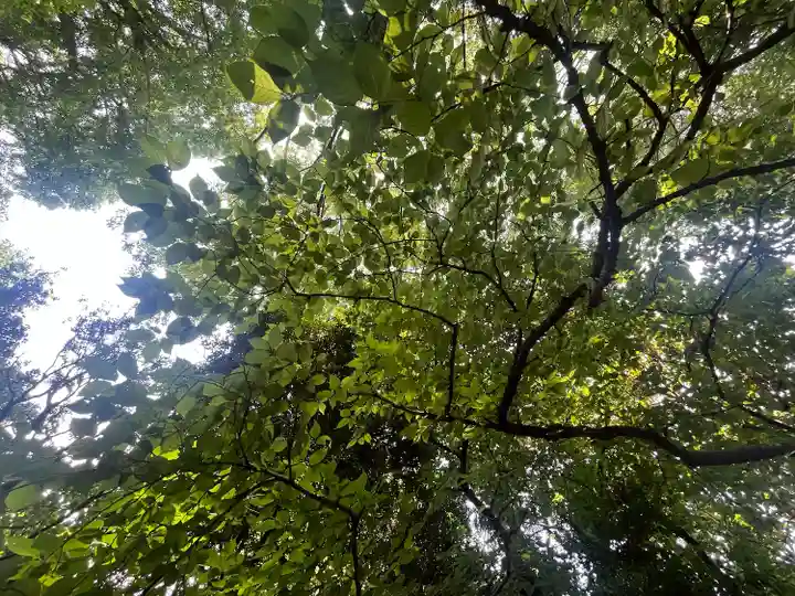 北本氷川神社(埼玉県)