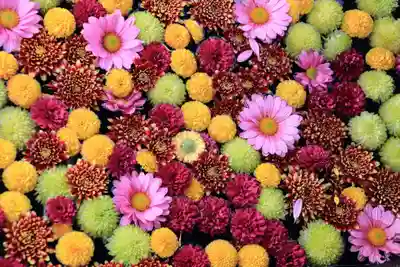 大鏑神社の手水舎
