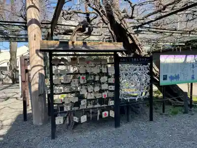 國領神社の{uncategorized: "未分類", other: "その他", undefined: "問題あり", building: "その他建物", grave: "お墓", sacred_gate: "鳥居", guardian: "狛犬", statue: "像", buddha: "仏像", history: "歴史", nature: "自然", garden: "庭園", animal: "動物", pagoda: "塔", temizu: "手水舎", mountain_gate: "山門・神門", sanctuary: "本殿・本堂", subordinate: "末社・摂社", art: "芸術", scenery: "景色", jizo: "地蔵", ema: "絵馬", goshuin: "御朱印", omikuji: "おみくじ", items: "授与品その他", amulet: "お守り", goshuincho: "御朱印帳", eats: "食事", festival: "お祭り", votive_dance: "神楽", shichigosan: "七五三参", wedding: "結婚式", experience: "体験その他", initially: "初詣", around: "周辺", anti_infection: "感染症対策"}