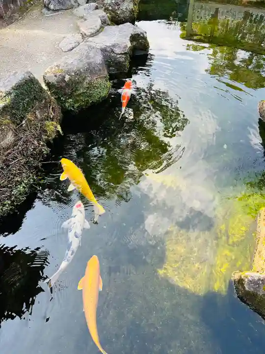 太宰府天満宮(福岡県)