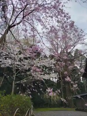 國吉神社の自然