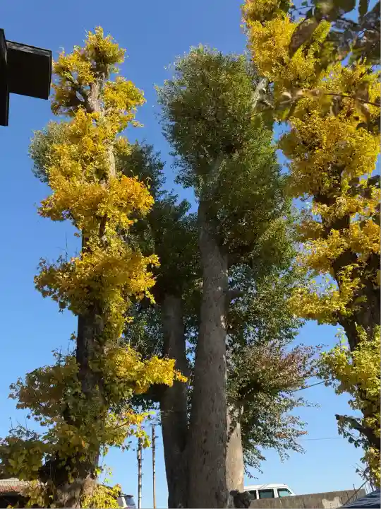 二子神社(神奈川県)
