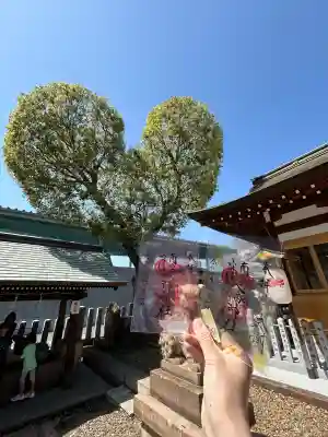 南宮宇佐八幡神社（脇浜神社）の{uncategorized: "未分類", other: "その他", undefined: "問題あり", building: "その他建物", grave: "お墓", sacred_gate: "鳥居", guardian: "狛犬", statue: "像", buddha: "仏像", history: "歴史", nature: "自然", garden: "庭園", animal: "動物", pagoda: "塔", temizu: "手水舎", mountain_gate: "山門・神門", sanctuary: "本殿・本堂", subordinate: "末社・摂社", art: "芸術", scenery: "景色", jizo: "地蔵", ema: "絵馬", goshuin: "御朱印", omikuji: "おみくじ", items: "授与品その他", amulet: "お守り", goshuincho: "御朱印帳", eats: "食事", festival: "お祭り", votive_dance: "神楽", shichigosan: "七五三参", wedding: "結婚式", experience: "体験その他", initially: "初詣", around: "周辺", anti_infection: "感染症対策"}
