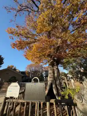 豊田神社(東京都)