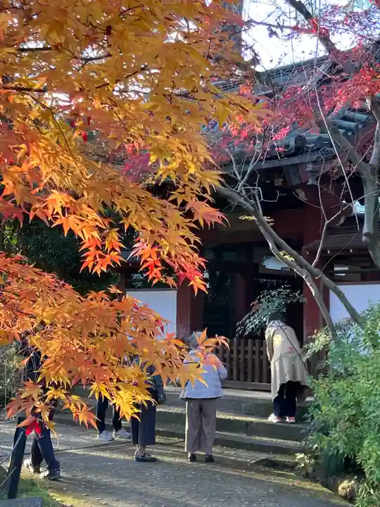 本土寺(千葉県)