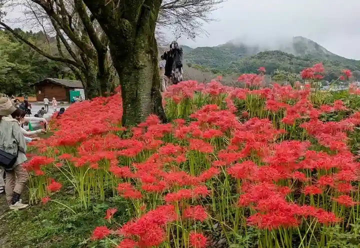 圓照寺(埼玉県)