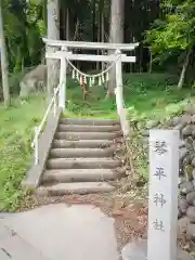 琴平神社の鳥居