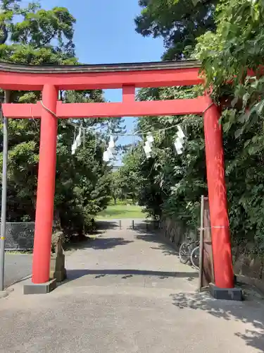 富岡八幡宮の鳥居