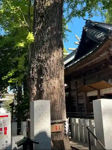 田無神社の庭園