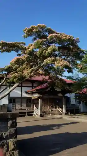 帰厚院の本殿・本堂