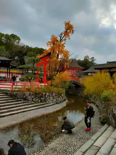 賀茂御祖神社（下鴨神社）(京都府)