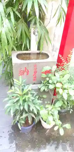 正一位伏見稲荷神社の手水舎