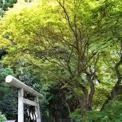 鹿島大神宮(福島県)